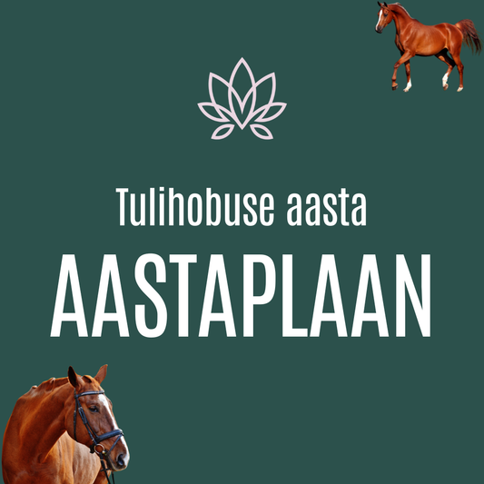 Hobuseaasta aastaplaan